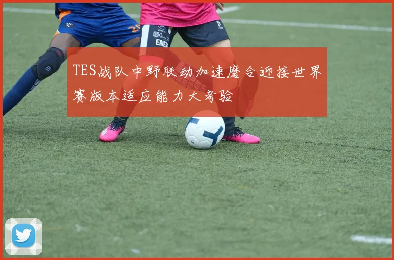 TES战队中野联动加速磨合迎接世界赛版本适应能力大考验